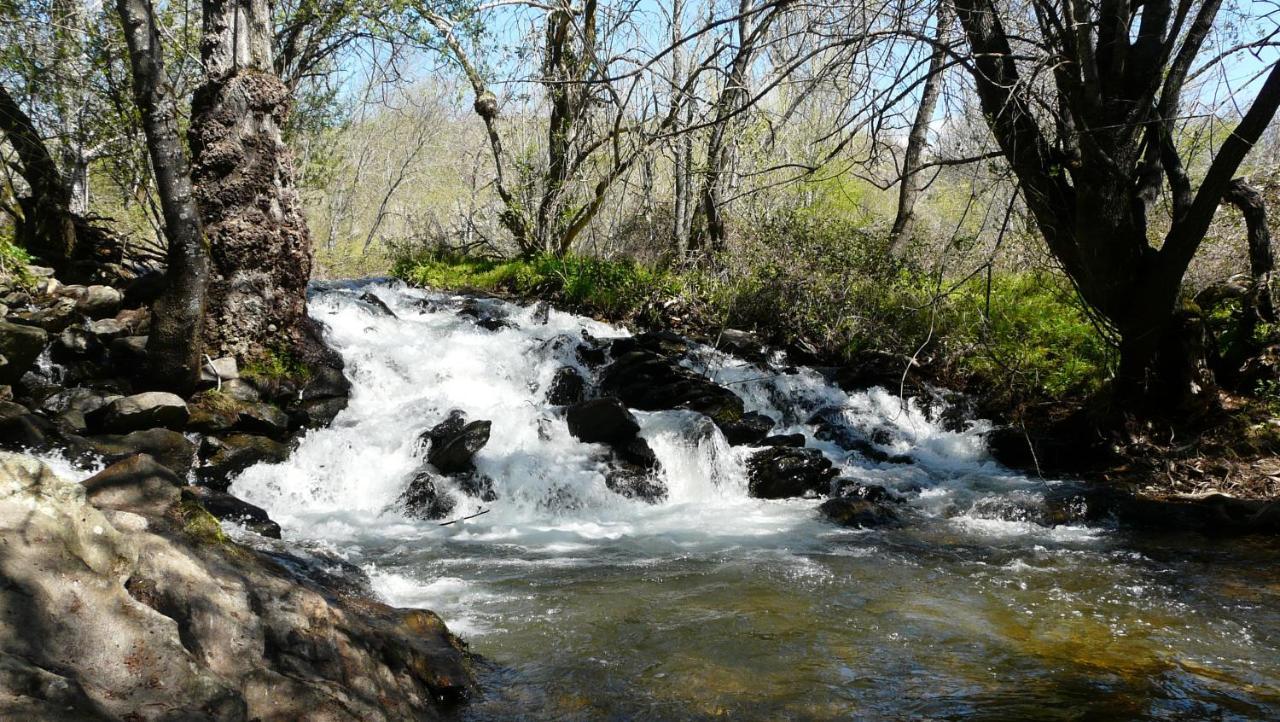 فيلا El Huerto De Leon Pradena del Rincon المظهر الخارجي الصورة