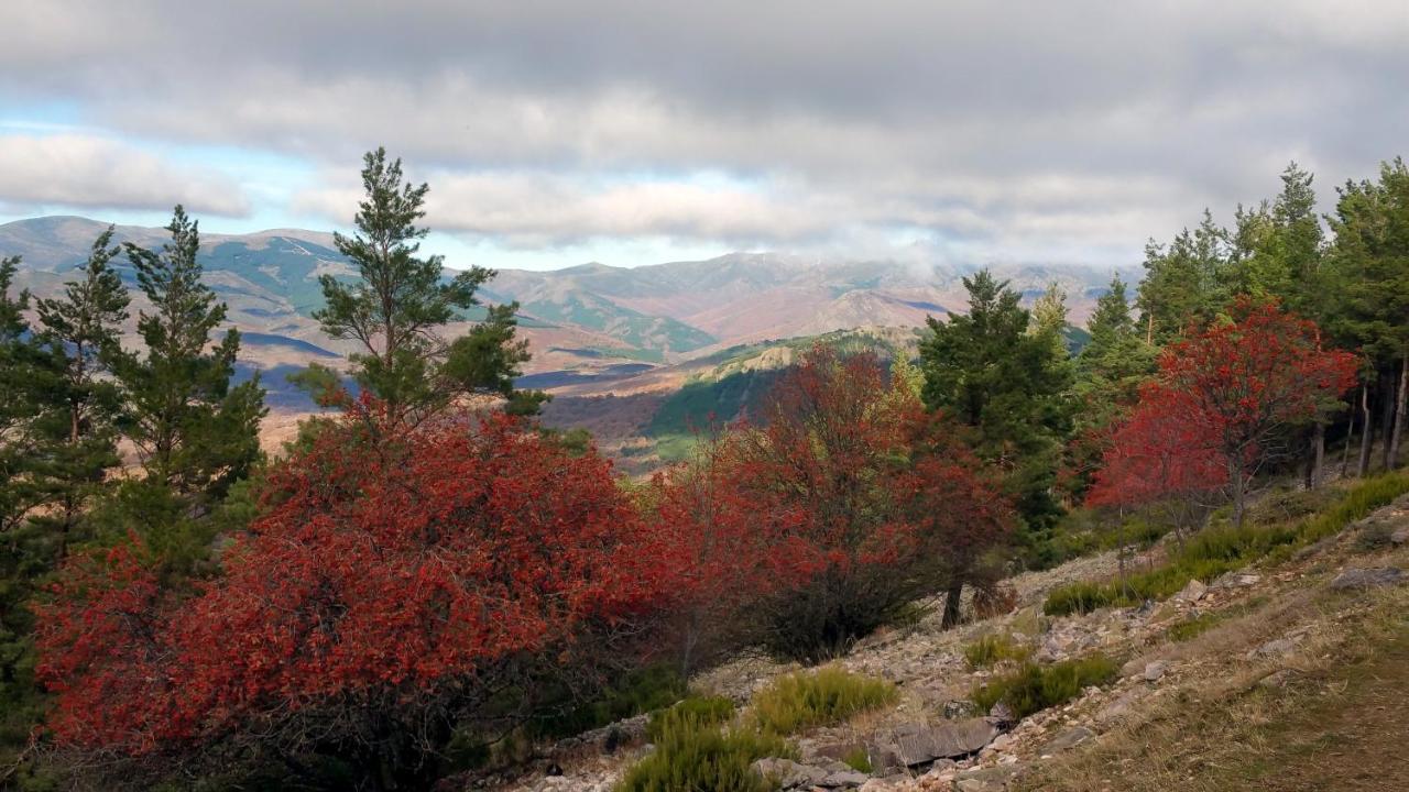 فيلا El Huerto De Leon Pradena del Rincon المظهر الخارجي الصورة