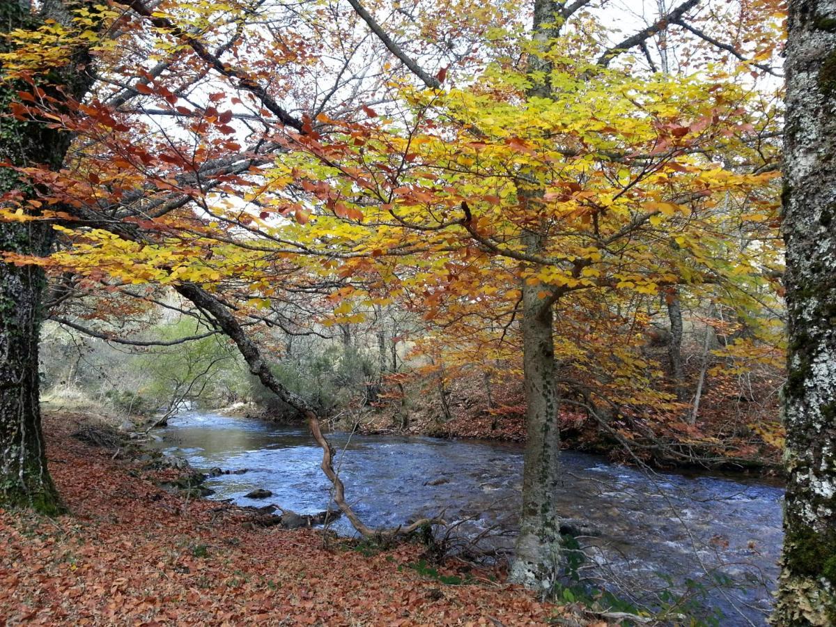فيلا El Huerto De Leon Pradena del Rincon المظهر الخارجي الصورة