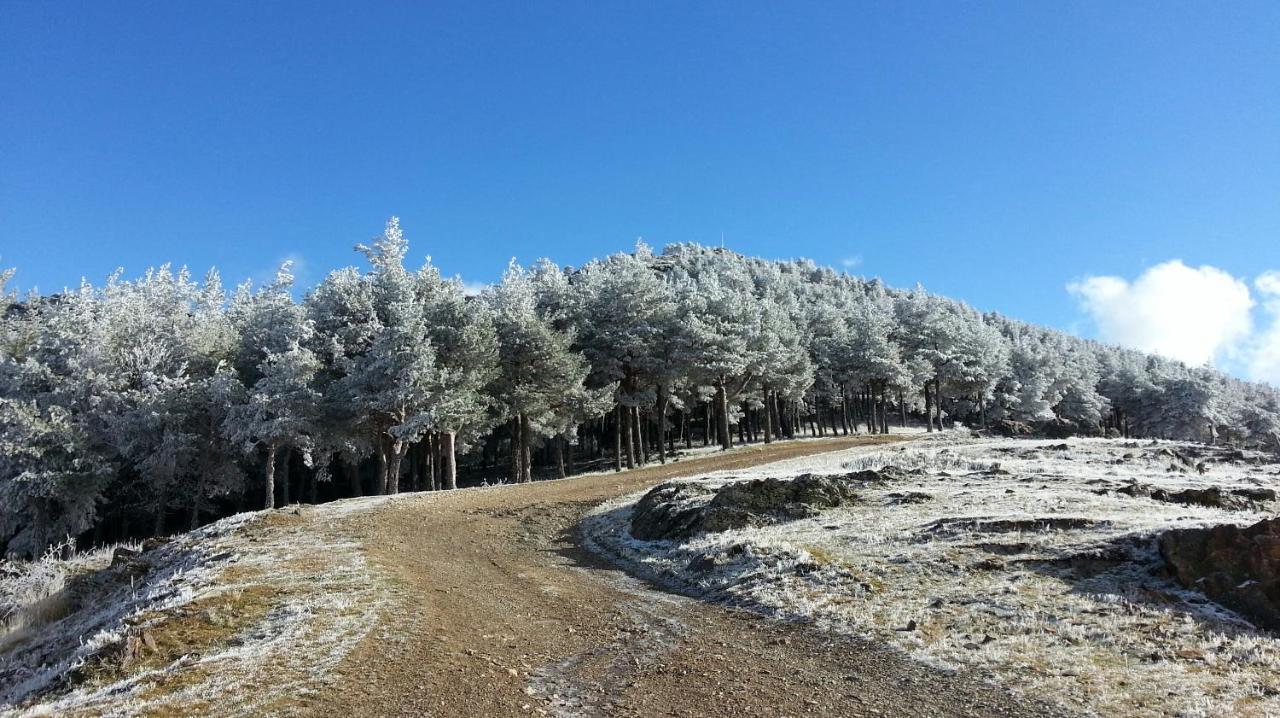 فيلا El Huerto De Leon Pradena del Rincon المظهر الخارجي الصورة